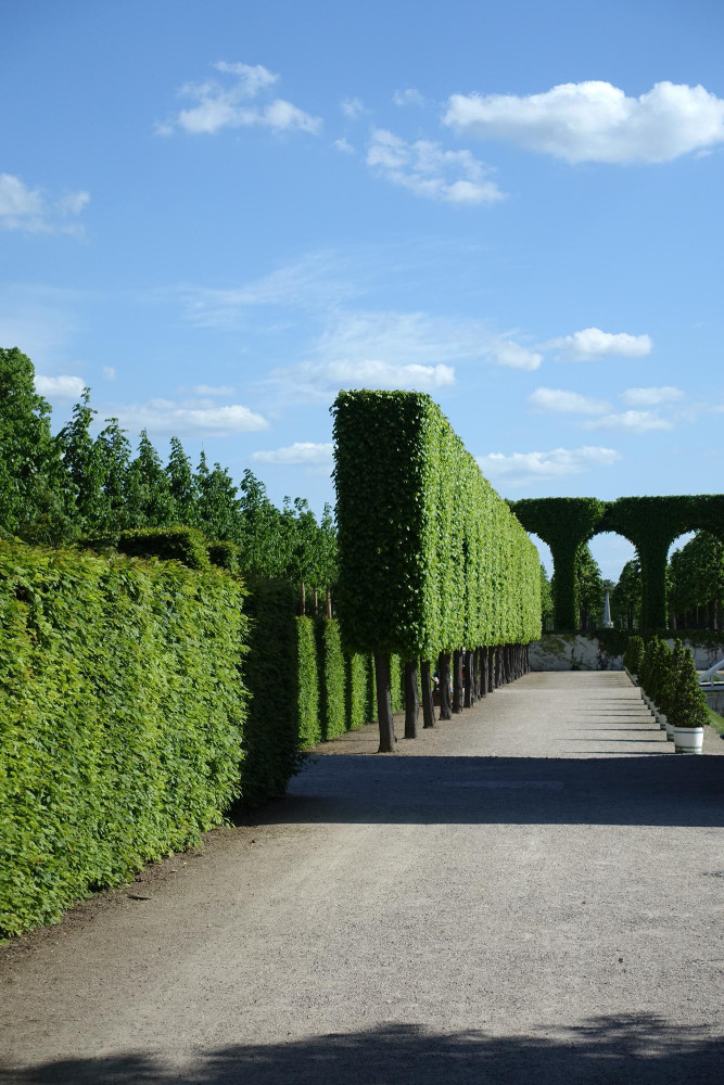 House extension image